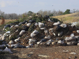 Recycling Yard and Organic Waste into Mulch Photographic Print by Marc Epstein
