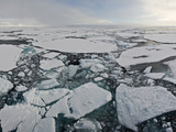 Arctic Ice Pack, Spitsbergen Island, Svalbard, Norway Photographic Print by Buff & Gerald Corsi