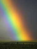 Vibrant Rainbow, Denali National Park, Alaska, USA Photographic Print by Patrick Endres