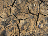 Dry, Cracked Soil Photographic Print by Jeff Daly