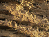 Dogon Tombs in the Bandiagara Escarpment, Mali Fotografisk tryk af Gary Cook