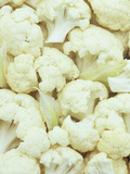Pieces of Crunchy, Nutritious Cauliflower(Brassica Oleracea) Photographic Print by Wally Eberhart