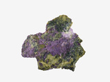 Stichtite, from Stichtite Hill, Dundas, Tasmania, Australia Photographic Print by Dane Johnson