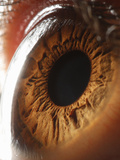 Close Up of Human Eye Photographic Print by Suren Manvelyan
