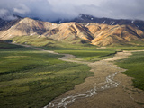 Braided River in Polychrome Pass, Denali National Park, Alaska, USA Photographic Print by Patrick Endres