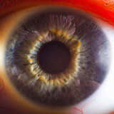 Close Up of Human Eye Photographic Print by Suren Manvelyan