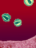Hiv Viruses, TEM X100,000 Photographic Print by Hans Gelderblom