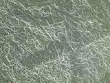 Surface of an American One Dollar Bill, SEM X100 Photographic Print by Wolf Fahrenbach