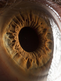 Close Up of Human Eye Photographic Print by Suren Manvelyan