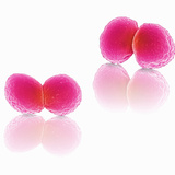Staphylococcus Aureus Bacteria, SEM X40,000 Photographic Print by Stanley Flegler