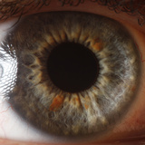 Close Up of Human Eye Photographic Print by Suren Manvelyan