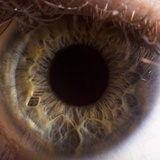 Close Up of Human Eye Photographic Print by Suren Manvelyan