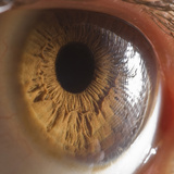 Close Up of Human Eye Photographic Print by Suren Manvelyan