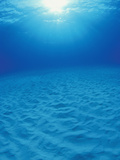 Underwater Sand Plain Lit by the Sun Through Clear Blue Water, Bahamas Fotoprint van Michael Johnson Underwater Sand Plain Lit by the Sun Through Clear Blue Water, Bahamas Fotoprint van Michael Johnson