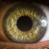 Close Up of Human Eye Photographic Print by Suren Manvelyan