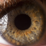 Close Up of Human Eye Photographic Print by Suren Manvelyan