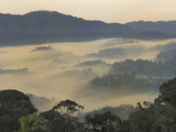 Valley Fog at Dawn in the Mountains of the Nyungwe Forest National Park, Rwanda Photographic Print by Thomas Marent
