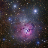 The Trifid Nebulin Sagittarius (M20, Barnard 85, NGC 6514) Photographic Print by Robert Gendler