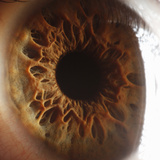 Close Up of Human Eye Photographic Print by Suren Manvelyan