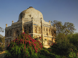 Mosque of Sheesh Gumbad, Lodhi Gardens, New Delhi, India Photographic Print by Adam Jones