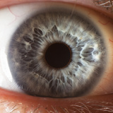 Close Up of Human Eye Photographic Print by Suren Manvelyan