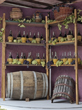 Grape and Wine Exhibit, La Festa Dell'Uva, Impruneta, Italy, Tuscany Photographic Print by Adam Jones