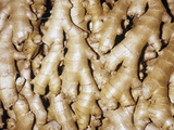 Ginger Aromatic Rhizomes for Use as a Spice or Herb (Zingiber Officinale) Valokuvavedos tekijänä Ken Lucas Ginger Aromatic Rhizomes for Use as a Spice or Herb (Zingiber Officinale) Valokuvavedos tekijänä Ken Lucas