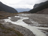 Braided River Channel and Glacial Outwash, Banff National Park, Alberta, Canada Photographic Print by Marli Miller