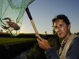 A Red Swamp Crayfish (Procambarus Clarcki) Captured in a Net Photographic Print by Fabio Pupin