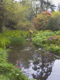 Large Pond with Candelabra Primula and Acers in the Spring, Minterne, Dorset Photographie par Phillip Smith