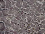 Ancient Mudcracks Filled with Sand in Mudstone of the Proterozoic Belt Supergroup Photographic Print by Marli Miller