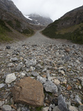 Talus, Banff National Park, Alberta, Canada Photographic Print by Marli Miller