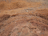This Pumice Is Highly Oxidized and Welded to the Underlying Lava Flow Photographic Print by Marli Miller