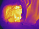 Thermogram - Child Asleep - Covered with Blanket Photographic Print by Chuck Swartzell