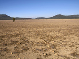 The Pumice Desert, Formed When Mt Mazamerupted 7700 Years Ago Photographic Print by Robert & Jean Pollock