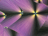Cholesterol Crystals Viewed with Polarized Light, LM Photographic Print by George Musil