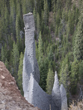 Weathering of Ash Flow Deposits into Pinnacles on the Cliffs around Crater Lake Photographic Print by Marli Miller