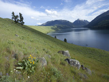 Wallowa Lake Hemmed in by a Glacial Moraine and with Glacially Transported Granitic Boulders Impressão fotográfica por Marli Miller Wallowa Lake Hemmed in by a Glacial Moraine and with Glacially Transported Granitic Boulders Impressão fotográfica por Marli Miller