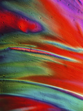 Polarized Micrograph of a Plastic Bag, LM X200 Photographic Print by Robert Markus
