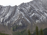 Folded Paleozoic Limestone on a Mountainside, Canadian Rockies, Alberta, Canada Photographic Print by Marli Miller
