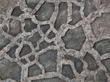 Proterozoic Mudcracks Filled with Sand in Mudstone of the Proterozoic Belt Supergroup Photographic Print by Marli Miller