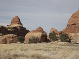 Sandstone Formations in Canyonlands National Park, Utah, USA Photographic Print by Marli Miller