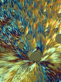 Cholesterol Crystals Viewed with Polarized Light, LM X160 Photographic Print by George Musil