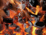 Charcoal Fire Photographie par Arthur Morris