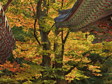 Roof Lines and Fall Maples, Tongdo Temple, South Korea Photographic Print by Geoffrey Schmid