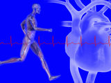 Runner, Male Likeness Showing Musculature and Skeleton Against an Ekg and Heart Photographic Print by Carol & Mike Werner