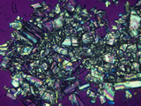 Polarized View of Vitamin D3 Crystals, LM X50 Photographic Print by Arthur Siegelman