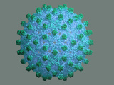 Human Hepatitis B Protein Capsid Photographic Print by Jean-Yves Sgro