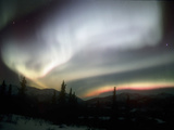 Aurora Borealis or Northern Lights, Alaska, USA Photographic Print by Tom Walker