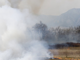 Smoke from Grassland Fire Reduces Visibility and Contributes to Air Pollution Along the Colorado Photographic Print by Jon Van de Grift